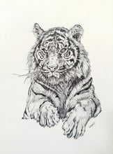 Load image into Gallery viewer, BELVERSTONE, Laurel - Tiger   #007
