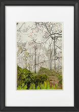 Load image into Gallery viewer, SHAH, Bansari - Autumn in Sintra #133
