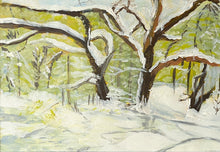 Load image into Gallery viewer, SHAH, Bansari - Winter #132
